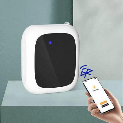ราคาดี HOMEFISH แบตเตอรี่ที่ทํางาน การค้า Aromatherapy Diffuser เครื่องกลิ่นหอมสมาร์ท Nano Spray ออนไลน์