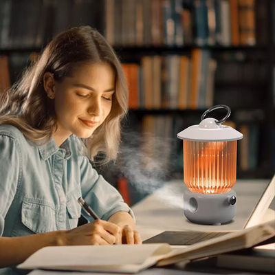 ราคาดี HOMEFISH เครื่องปรับความชื้นอากาศ USB ที่ใช้แบตเตอรี่ 260 มล ออนไลน์